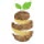potatogoodness.com
