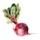 thrivingonpaleo.com