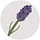floralapron.com