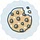 thecookiedoughdiaries.com