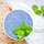 plantedinthekitchen.com