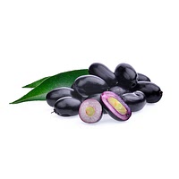Java plum