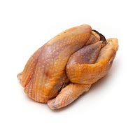 Guinea fowl