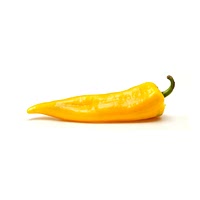 Yellow bull horn pepper