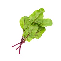 Beetroot leaves