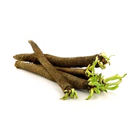 Salsify