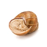 Snail