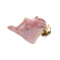 Ray wing