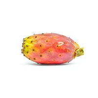 Prickly pear