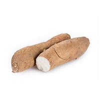 Dangshen root