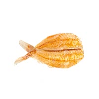 Semi dried petrale sole