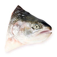 Cod head