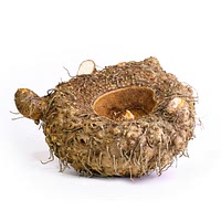 Elephant foot yam