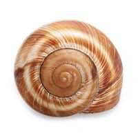 Snail shells
