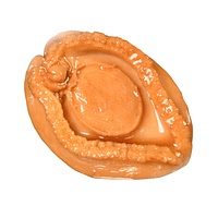 Canned mini abalones