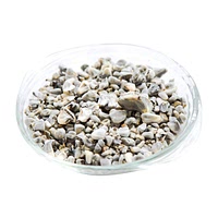 Huitlacoche mushrooms