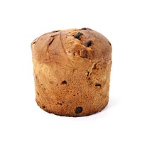 Chocolate panettone