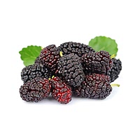 Boysenberry