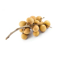 Longan