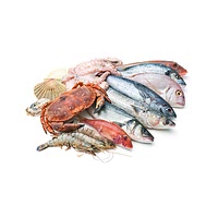 Seafood