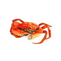 Cooked crab