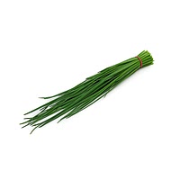 Welsh onion