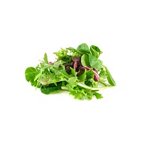 Herb salad