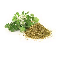 Dried mexican oregano