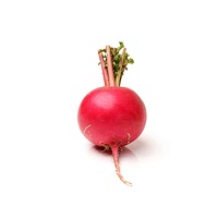 Radish