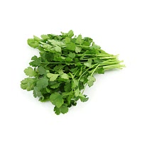 Coriander leaf