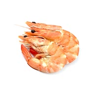 King prawn