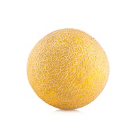 Canary melon