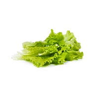 Korean lettuce