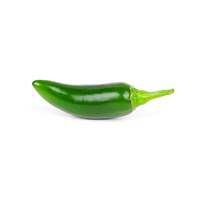 Jalapeno pepper