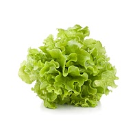 Butter baby lettuce