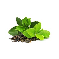 Maghrebi mint tea leaf