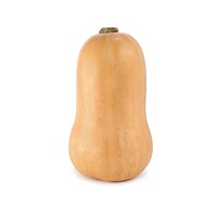 Butternut squash