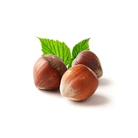 Hazelnuts in shell