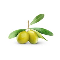 Green olive