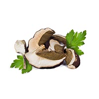 Dried portobello mushrooms