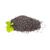 Black mustard seeds