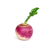 Turnip