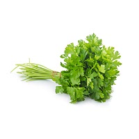 Parsley stalks