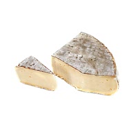 Fontina cheese