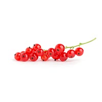 Redcurrants