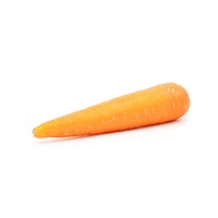 Carrot