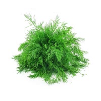 Dill