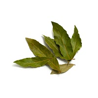 Dried bay leaf