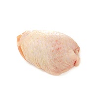 Frozen chicken thigh fillet