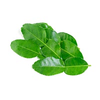 Frozen kaffir lime leaves